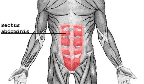Captains Chair Abs Exercise